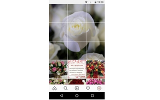 ведение аккаунта Instagram флористической компании